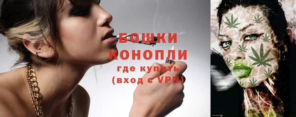 крисы Баксан