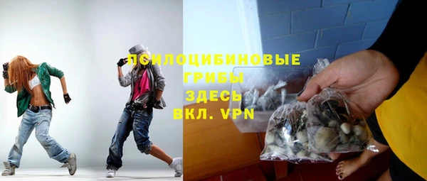 крисы Баксан