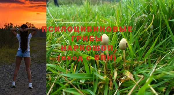 крисы Баксан