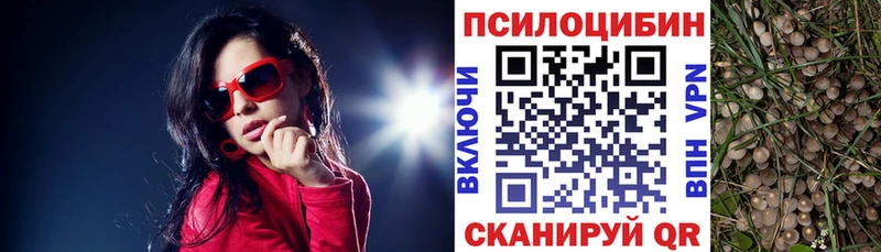 hydra ссылки  Велиж  Галлюциногенные грибы мицелий  сколько стоит 